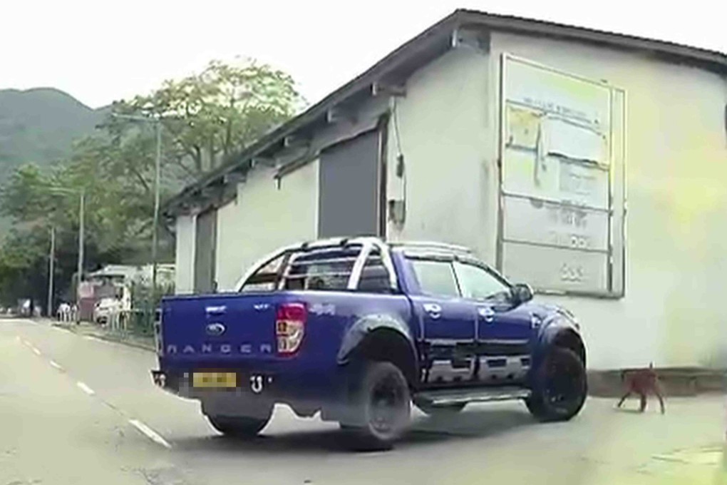 A 24-second car camera video shows a blue pickup truck strike a dog before turning into a side street. Photo: SCMPOST