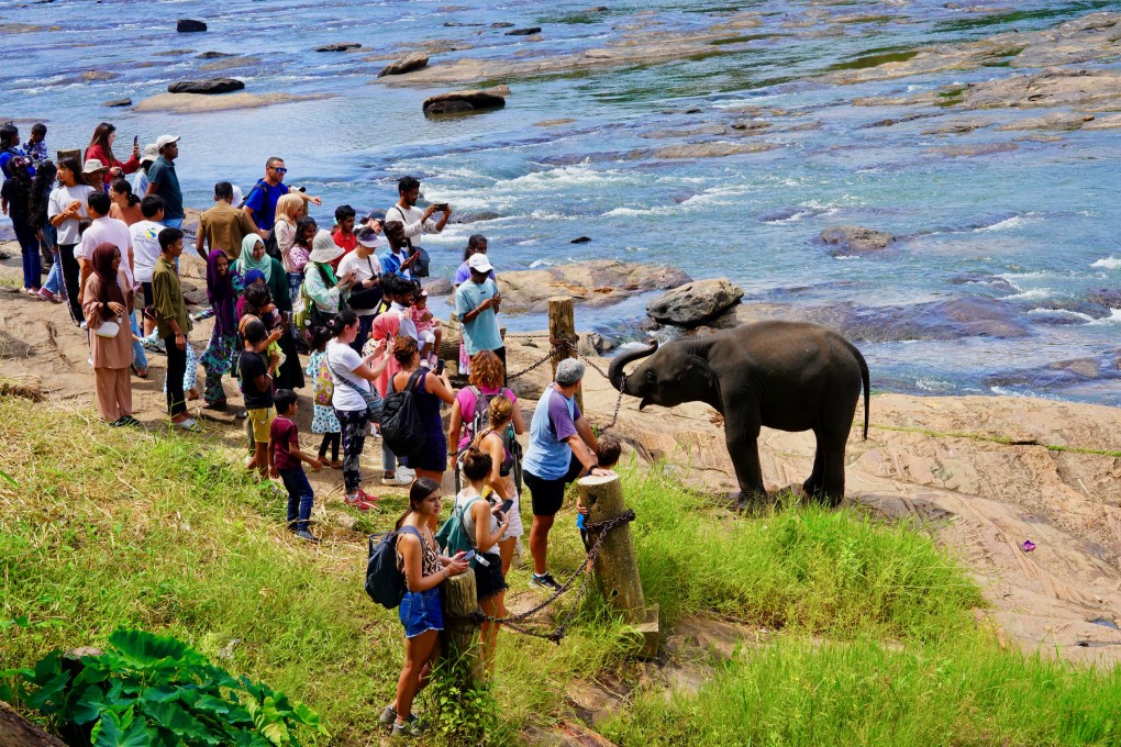 Tourists visit an elephant park in Sri Lanka on August 11. Photo: Xinhua