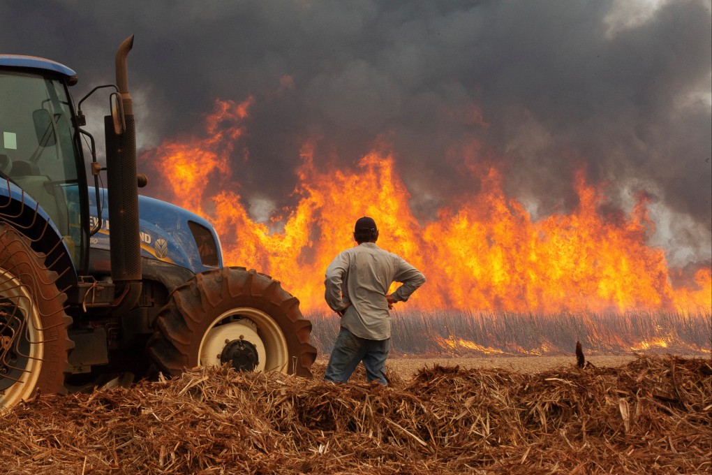 A man watches a fire in a sugar cane plantation near Dumon city, Brazil on Saturday. Photo: Reuters