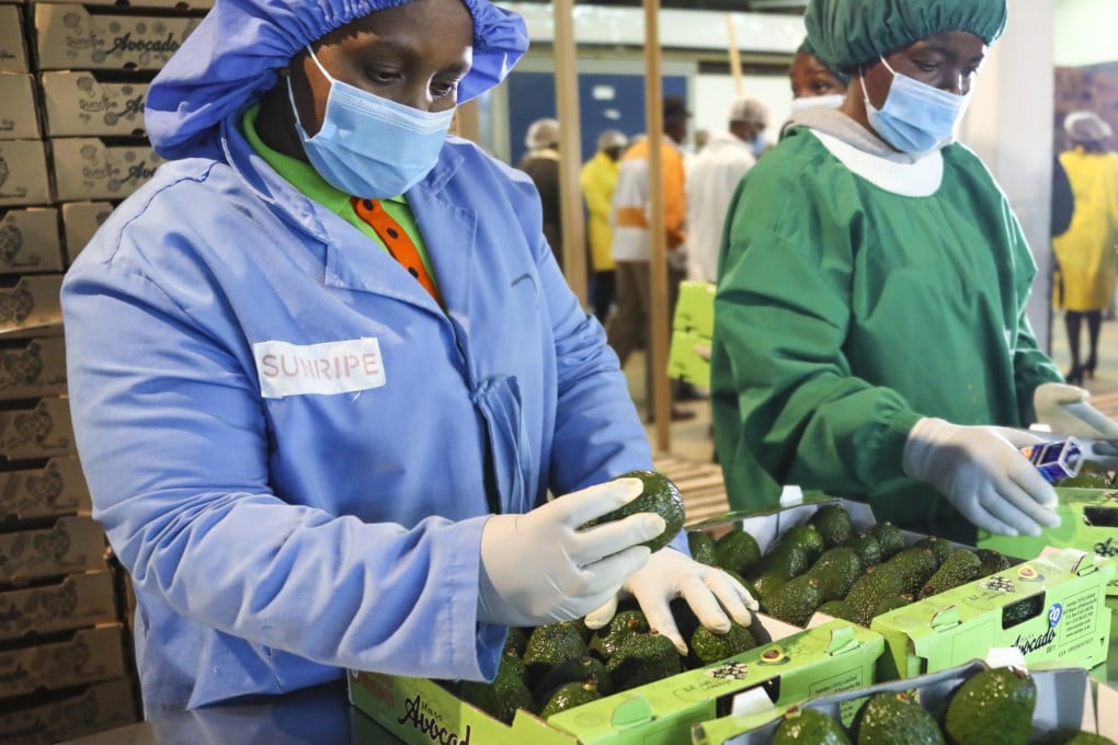The list of China’s food imports from Africa now includes avocados, soybeans, pineapples, chillies, cashew nuts, sesame seeds and spices. Photo: Xinhua