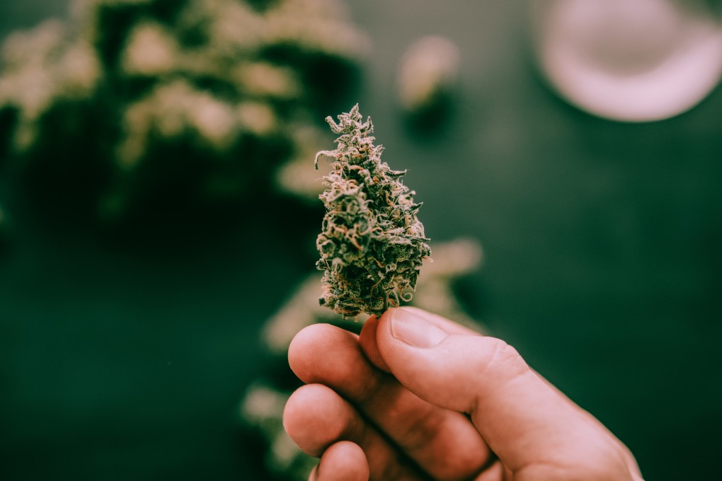 A Singaporean was jailed for placing cannabis in his estranged wife’s car to get her in trouble after their relationship soured. Photo: Shutterstock