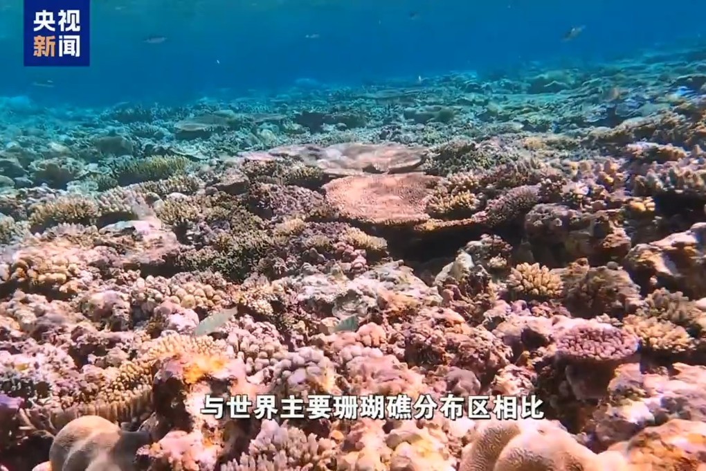 A Chinese government report said the reef remained healthy. Photo: CCTV