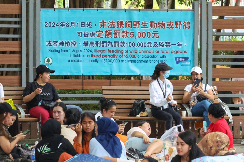 Offenders now face a fixed penalty of HK$5,000 for feeding feral pigeons. Photo: Dickson Lee