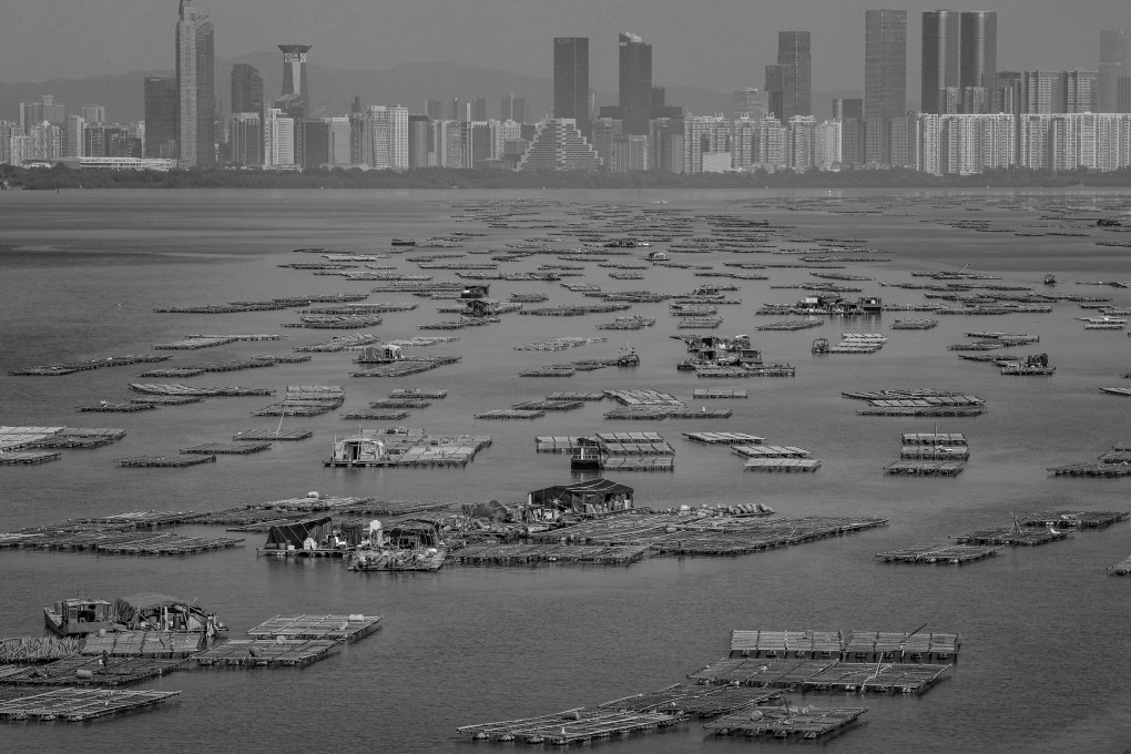 The oyster fishery in Deep Bay as seen in 2023. Back in 1970 this peaceful setting was the scene for the abduction of eight men, three of whom were later murdered. Photo: SCMP
