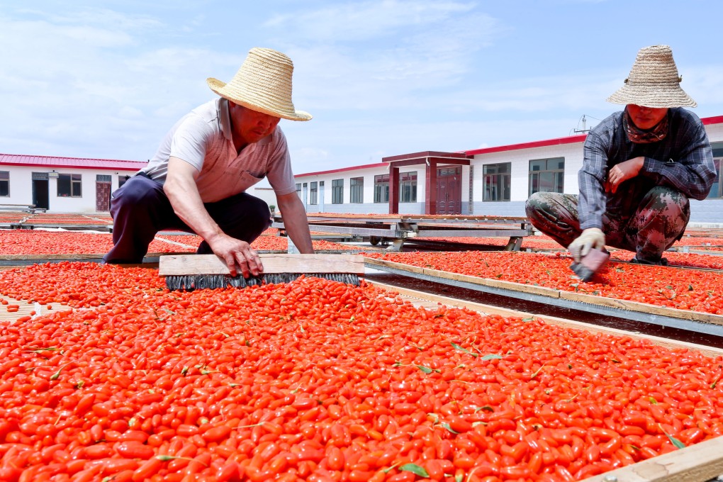 Goji berries are used in food, alcoholic drinks and health foods. Photo: Getty Images