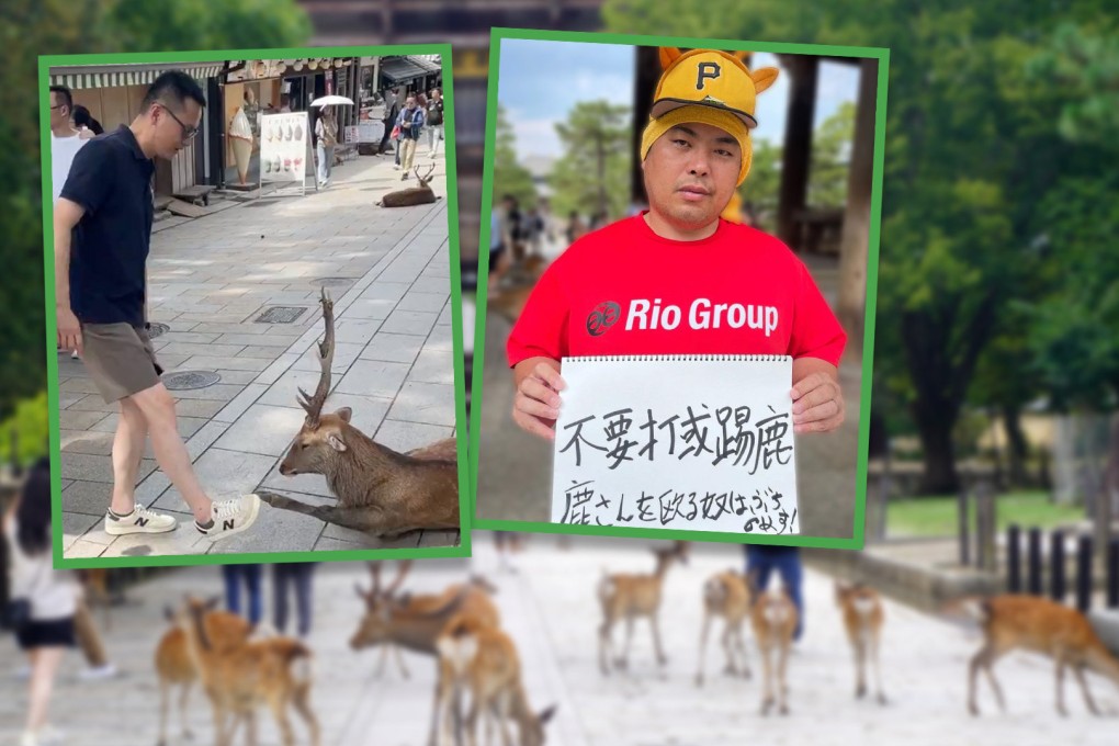 A Japanese park volunteer reprimands a Chinese tourist for teasing a wild deer with his foot, despite the tourist’s apology. Photo: SCMP composite/Shutterstock/X.com
