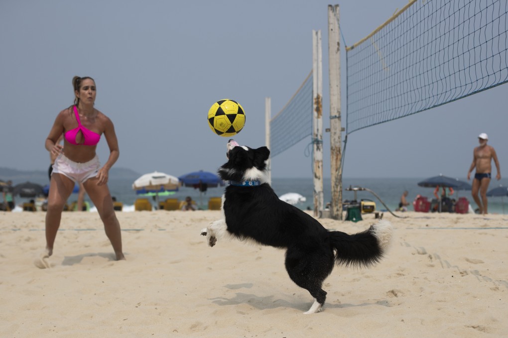 Border collie Floki and Brazilian former footvolley champion Natalia Guitler play the sport on a Rio de Janeiro beach. The dog’s unusual skills have made him an internet sensation, and a representative for fashion brands, canine ice pops and more. Photo: AP