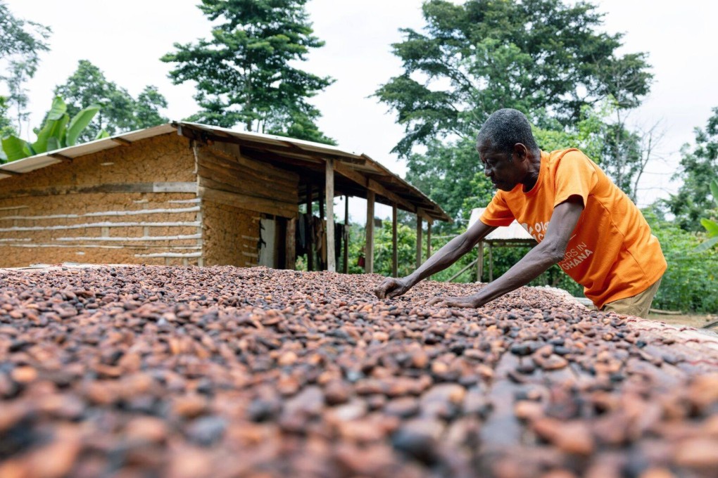 China is shifting its African focus away from the mega infrastructure projects that have dominated the last decade, instead towards agriculture, manufacturing, green energy and critical minerals. Photo: Bloomberg