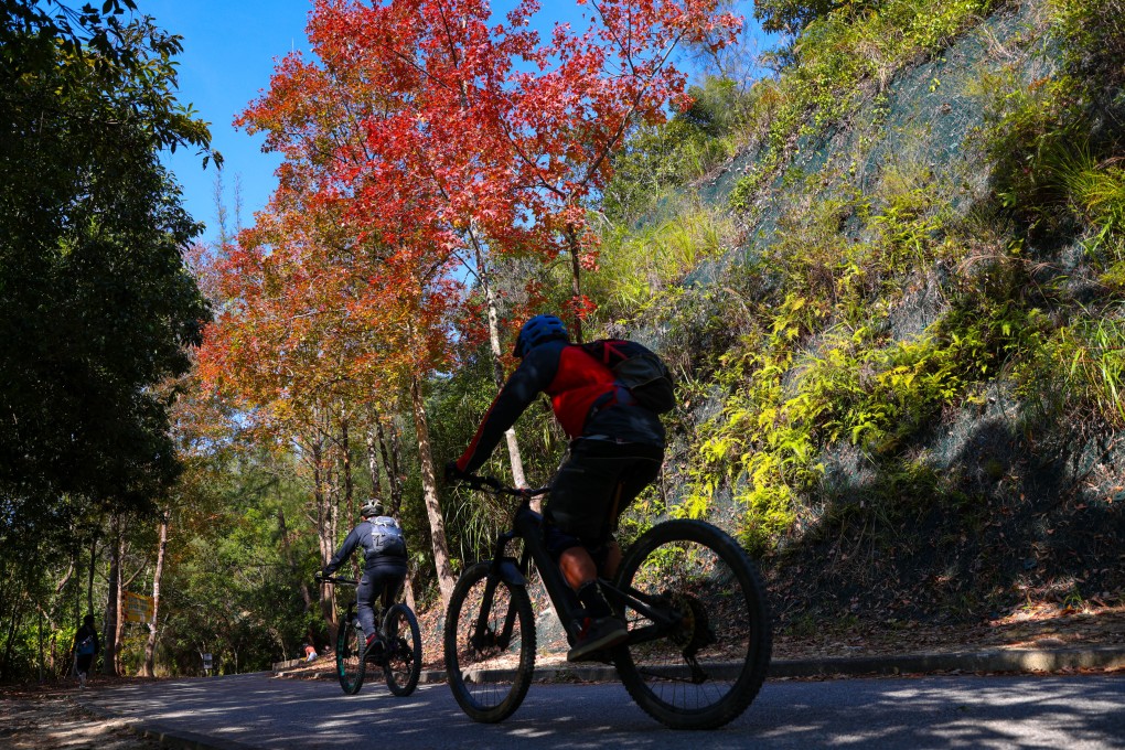 Hong Kong has many scenic routes but it is best to join local bike tours, experts say.⁠ Photo: Yik Yeung-man