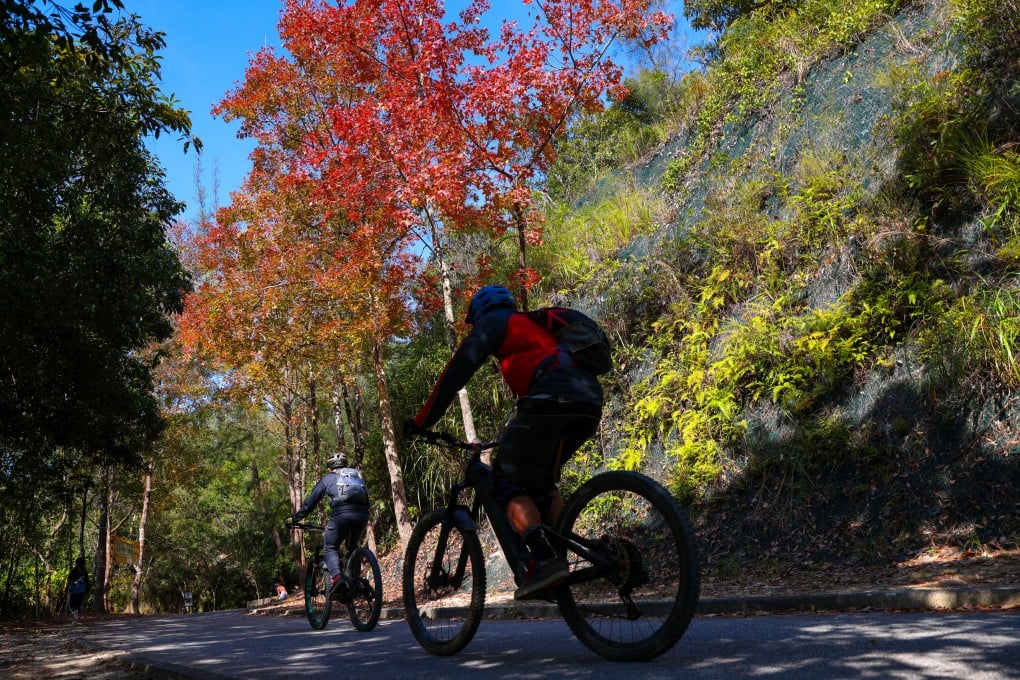 Hong Kong has many scenic routes but it is best to join local bike tours, experts say. Photo: Yik Yeung-man