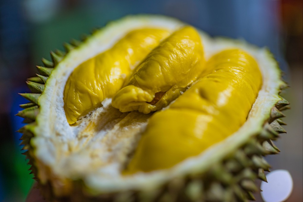 The Musang King is celebrated for its creamy, golden flesh with a distinctive balance of sweetness and bitterness, but industry insiders say certain growers have been trying to adjust its flavour. Photo: Shutterstock