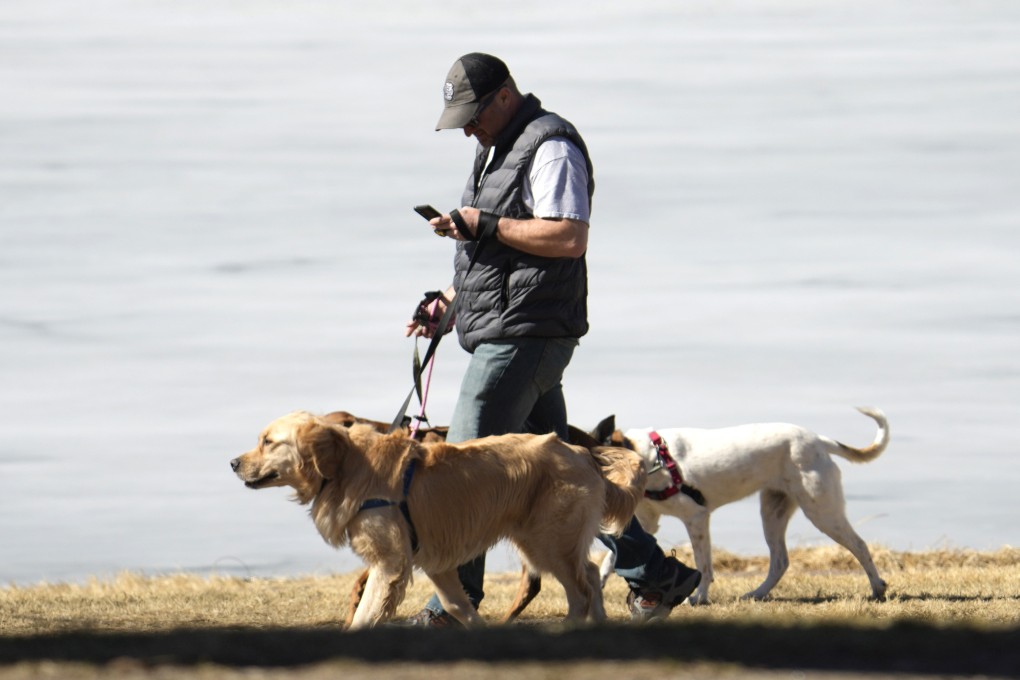 Putting your phone down and paying attention is a good way to avoid dangers associated with dog walking. With the help of experts, we look at other ways to prevent injury, from what kinds of dog leads to use, to what not to wear. Photo: AP