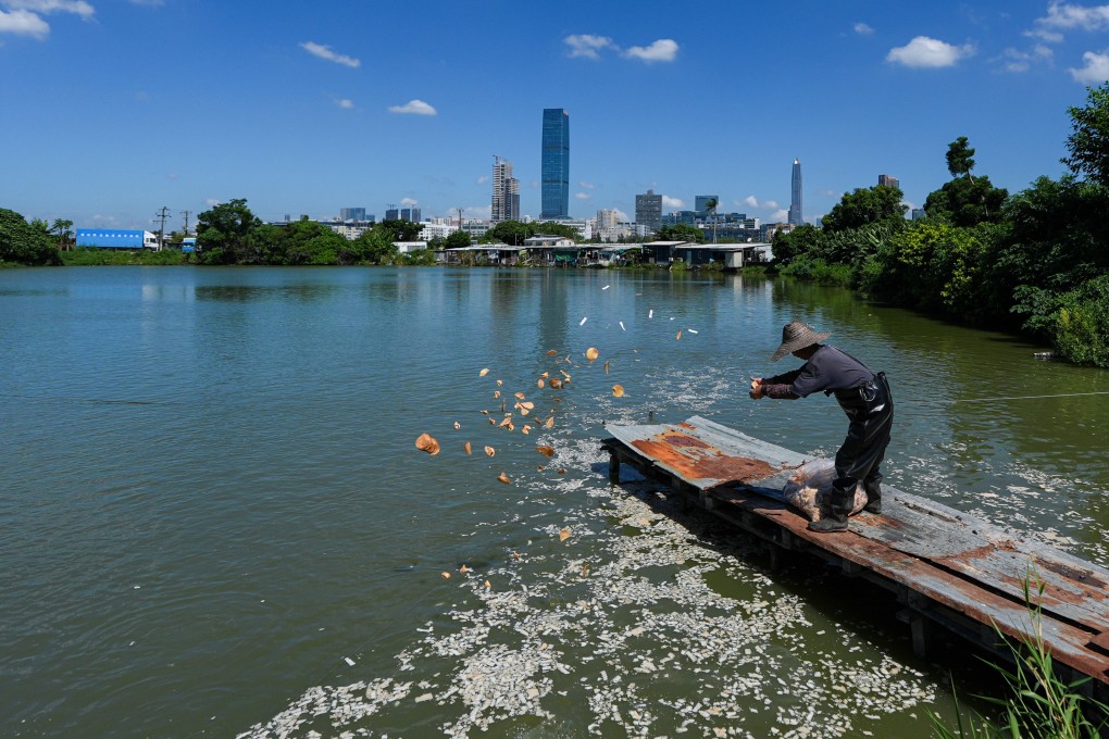 Hong Kong freshwater fish farms log 30% drop in business amid outbreak ...