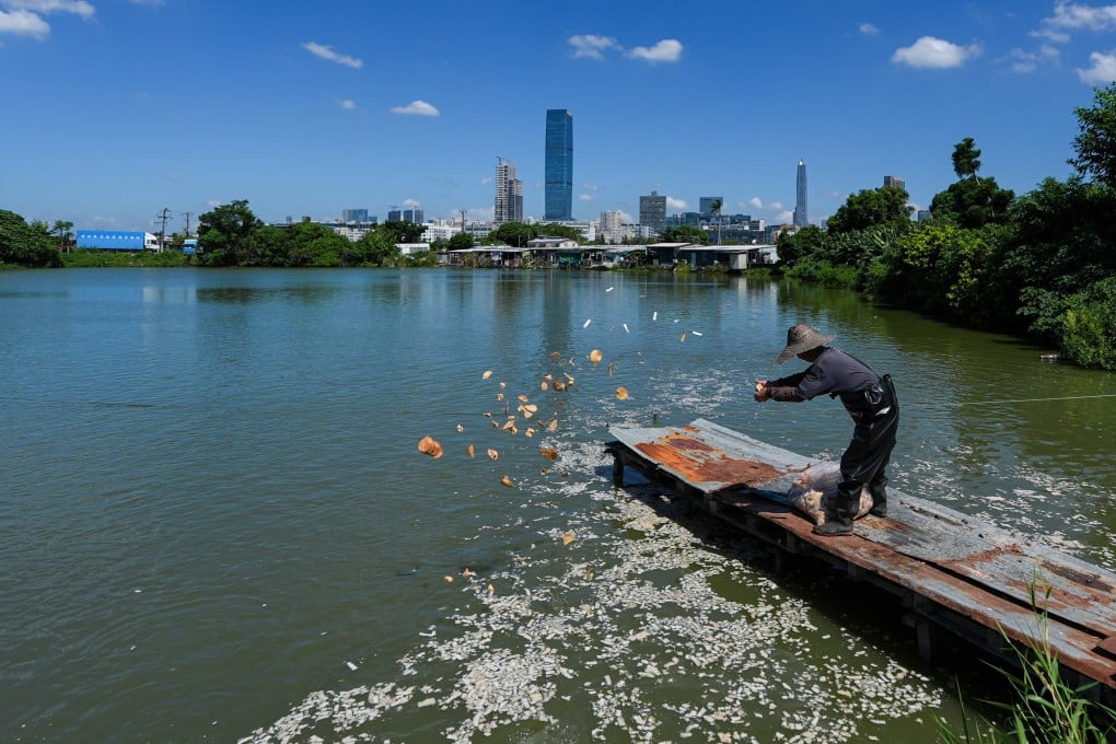 Hong Kong freshwater fish farms log 30% drop in business amid outbreak ...