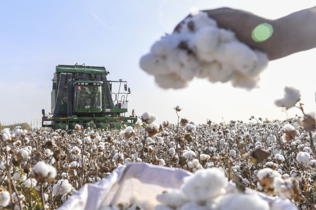 European Union legislation banning products made with forced labour does not name Xinjiang but was written with the cotton producing region of western China in mind. Photo: Xinhua