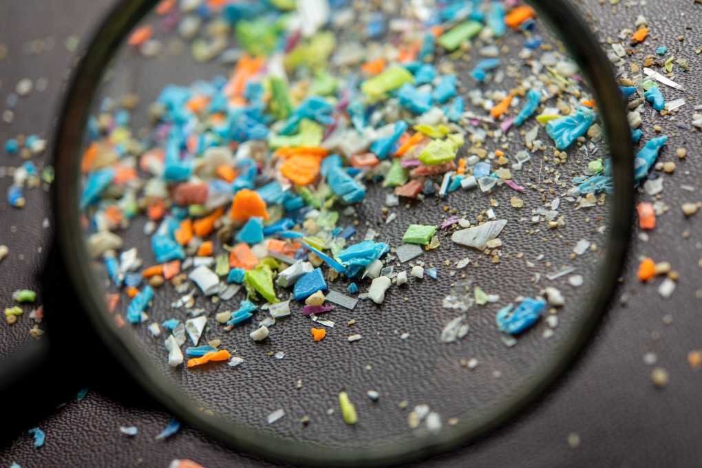 Greenpeace said earlier this month that tiny pieces of plastic were detected in 85 per cent of faecal samples collected from wild land mammal species. Photo: Shutterstock