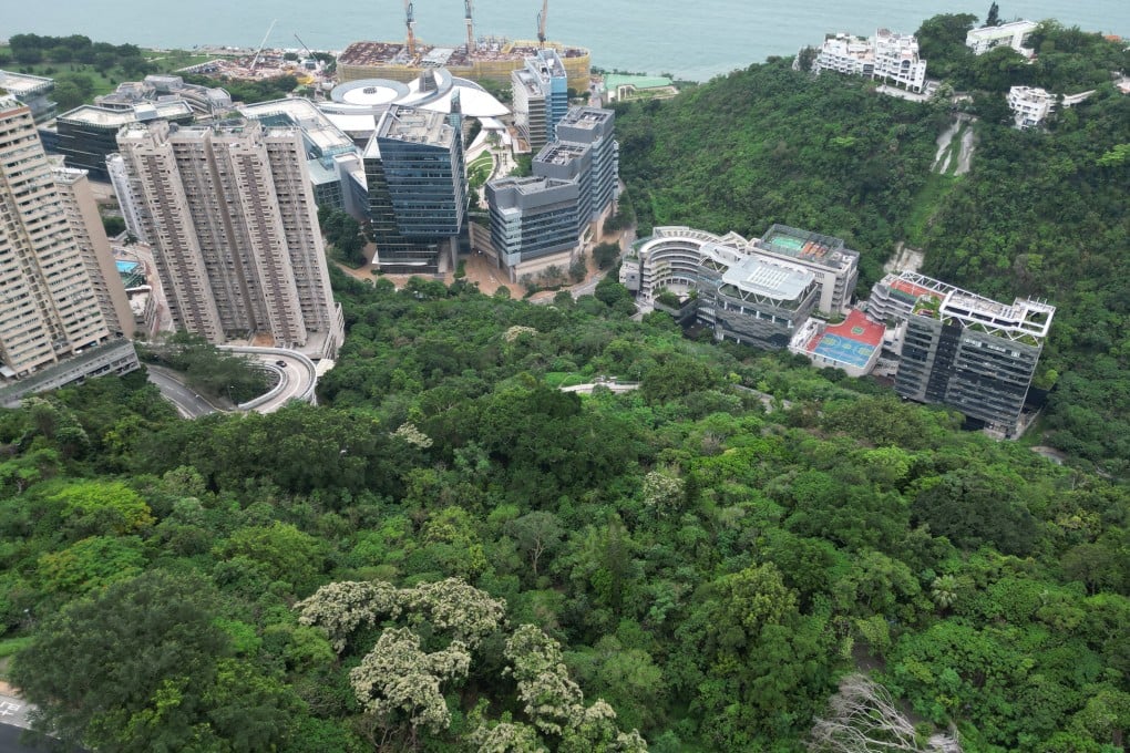 It was estimated more than 2,000 trees would need to be cut down for the project in Pok Fu Lam. Photo: Dickson Lee