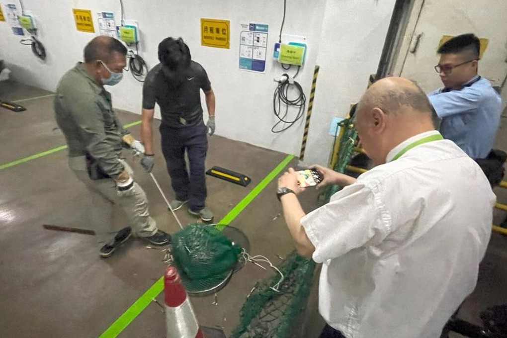 Workers use a long-handled net to catch the animal. Photo: Handout