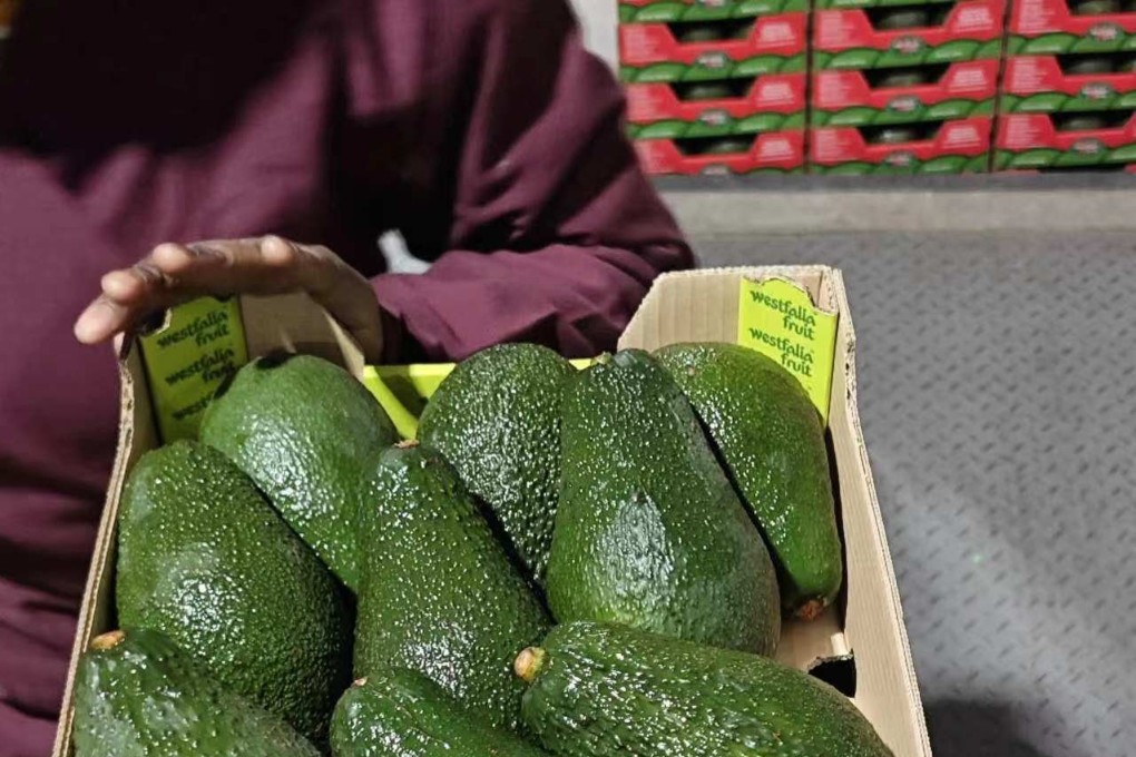 Resource-rich South Africa has become the third African avocado producer to gain access to the vast Chinese market. Photo: X/ @AmbWuPeng
