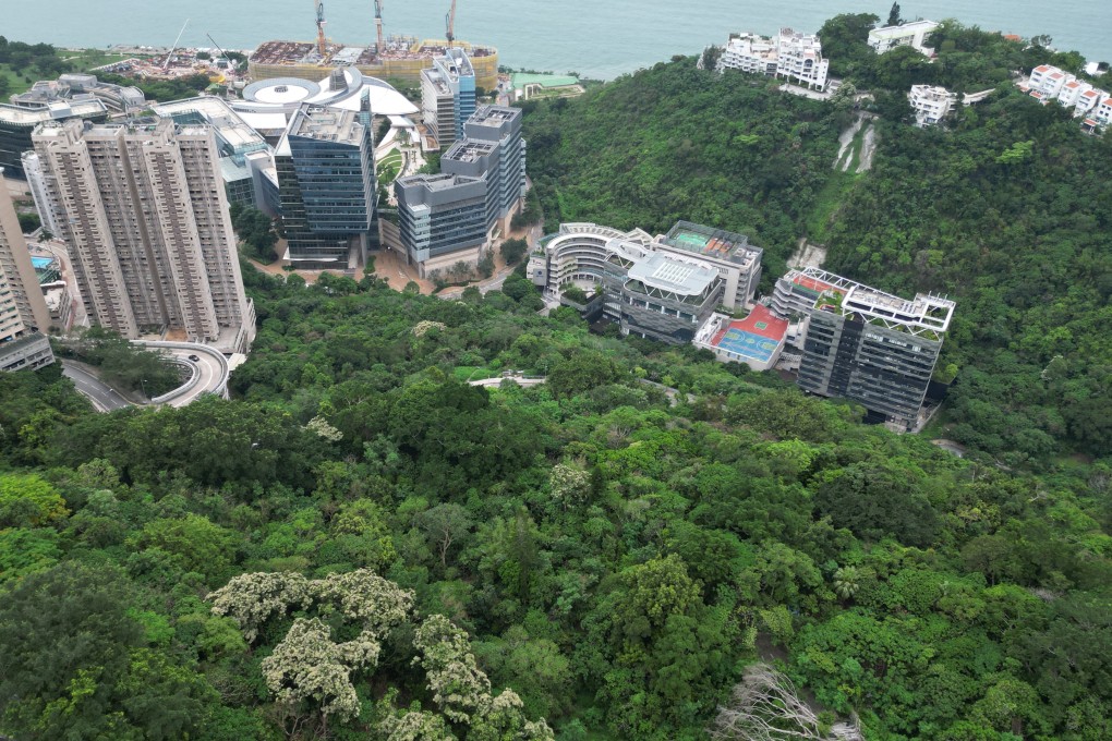 Development of the Pok Fu Lam site would require 2,000 trees to be cut down. Photo: Dickson Lee