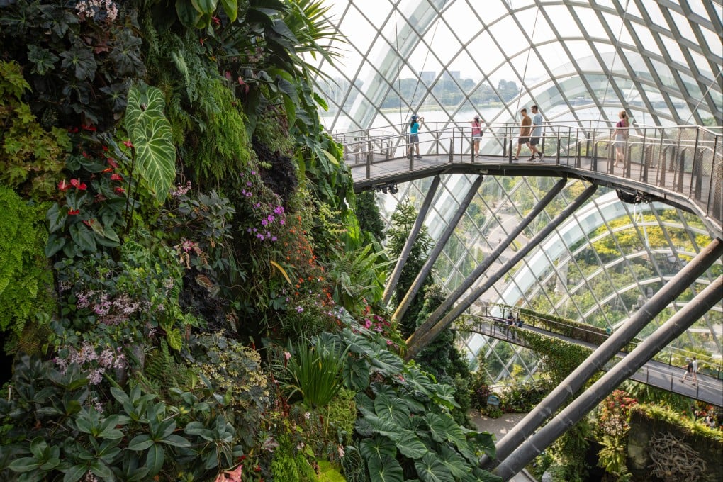 Visitors crossing the bridge of the Cloud Forest at the The Gardens by the Bay, a nature park in Singapore. Photo: Matilde Gattoni