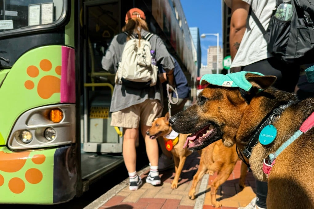 The new service currently covers five routes, with one-way trips costing HK$35 for individual travellers with one pet. Photo: Lo Hoi-ying