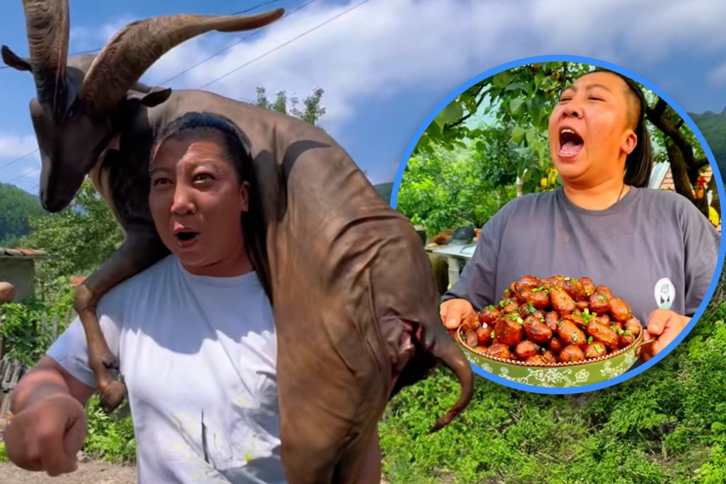 An online influencer in China with 20 million fans has been accused of sending a team to beat up a man for making mislabelled food claims against her. Photo: SCMP composite/Douyin