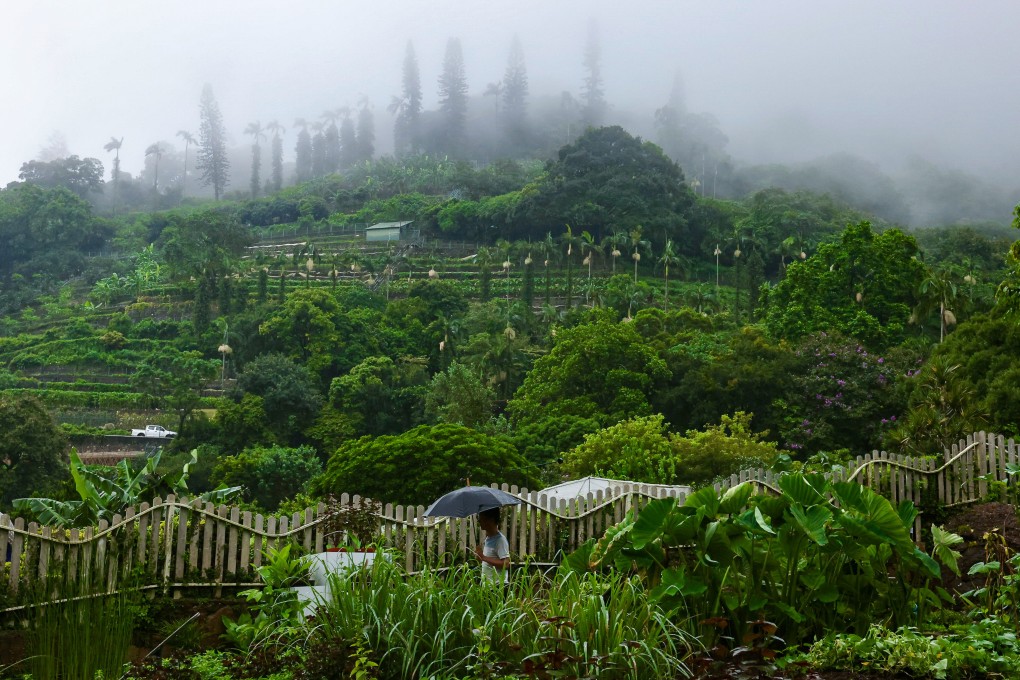 Family offices in Hong Kong more often need to factor in philanthropy when building portfolios of multi-generational investments - incorporating initiatives such as the environmental work of the city’s Kadoorie Farm and Botanic Garden. Photo: Jonathan Wong