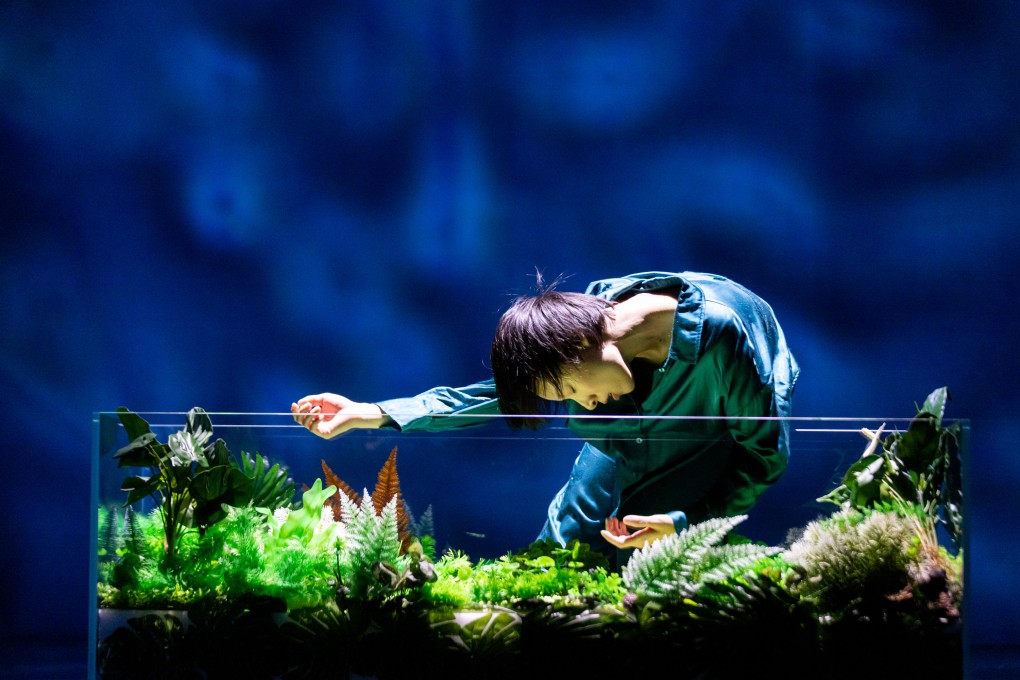 Chinese dance production A Flexitarian, part of HKPAX’s International Showcase programme. Photo: HKPAX