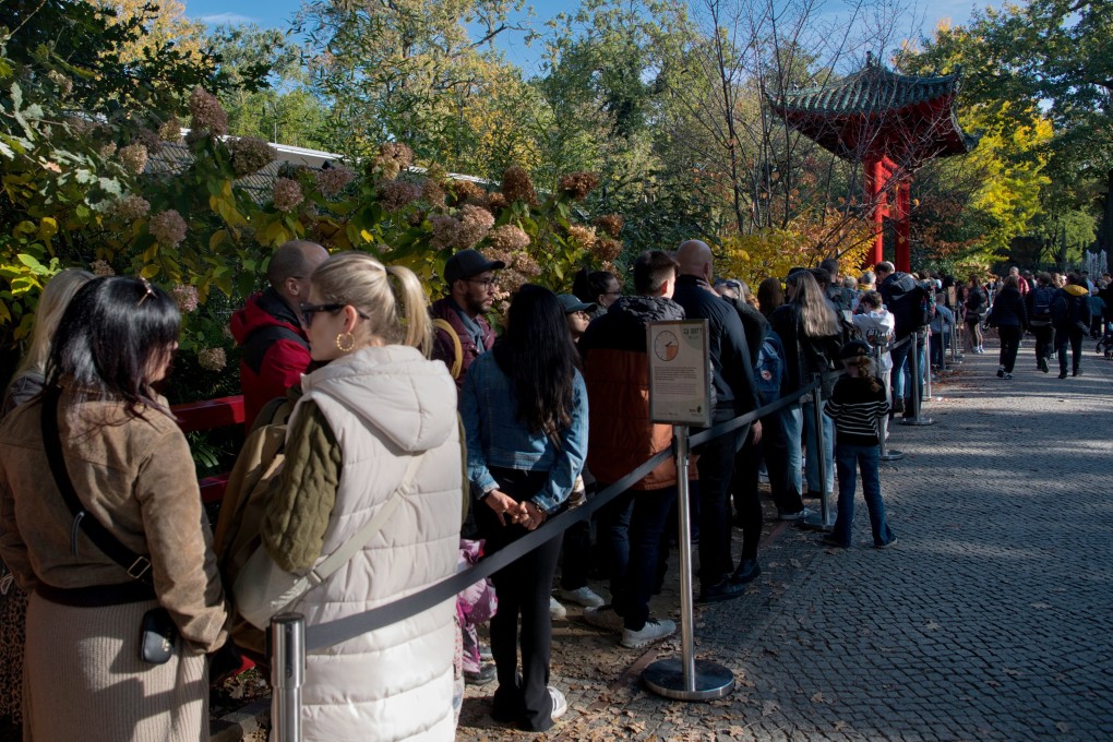 Visitors queue at Berlin zoo to look at baby pandas on Sunday. Photo: dpa