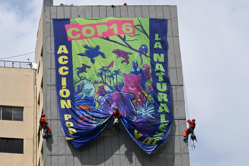 Greenpeace activists hang a banner that reads ‘COP 16 Action for Nature’, in Cali, Colombia. Photo: AFP