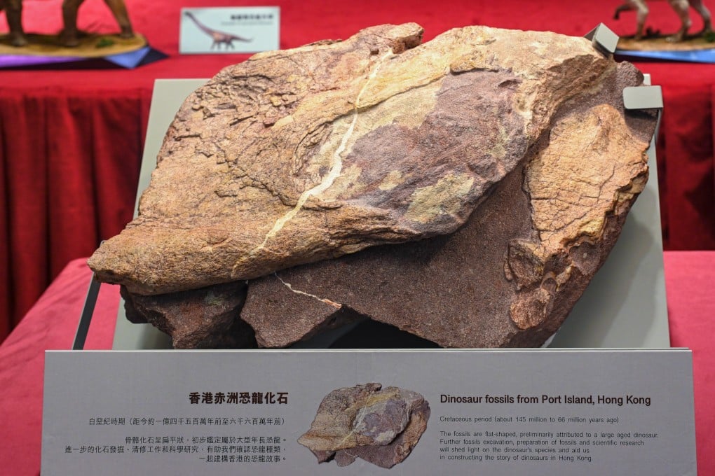 Dinosaur fossils have been discovered in Hong Kong for the first time. Photo: ISD