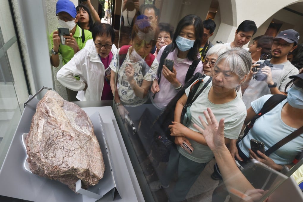 Visitors at the Hong Kong Heritage Discovery Centre in Tsim Sha Tsui view the dinosaur fossils. Photo: Dickson Lee