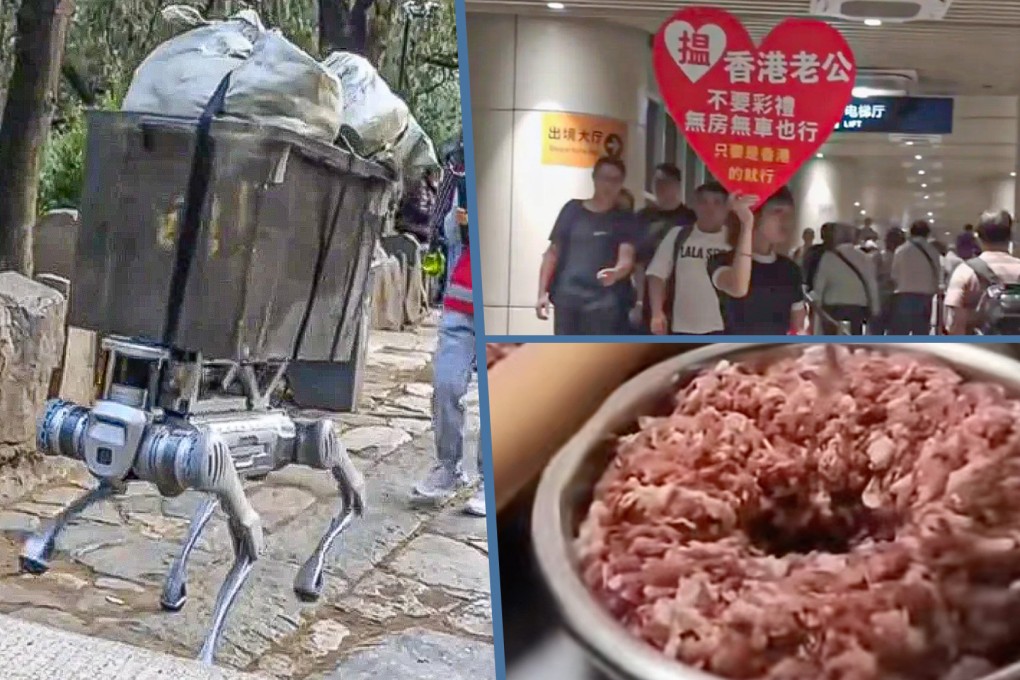 The Post examines some strange news stories emerging in China over recent days. Photo: SCMP composite/Weibo/Douyin