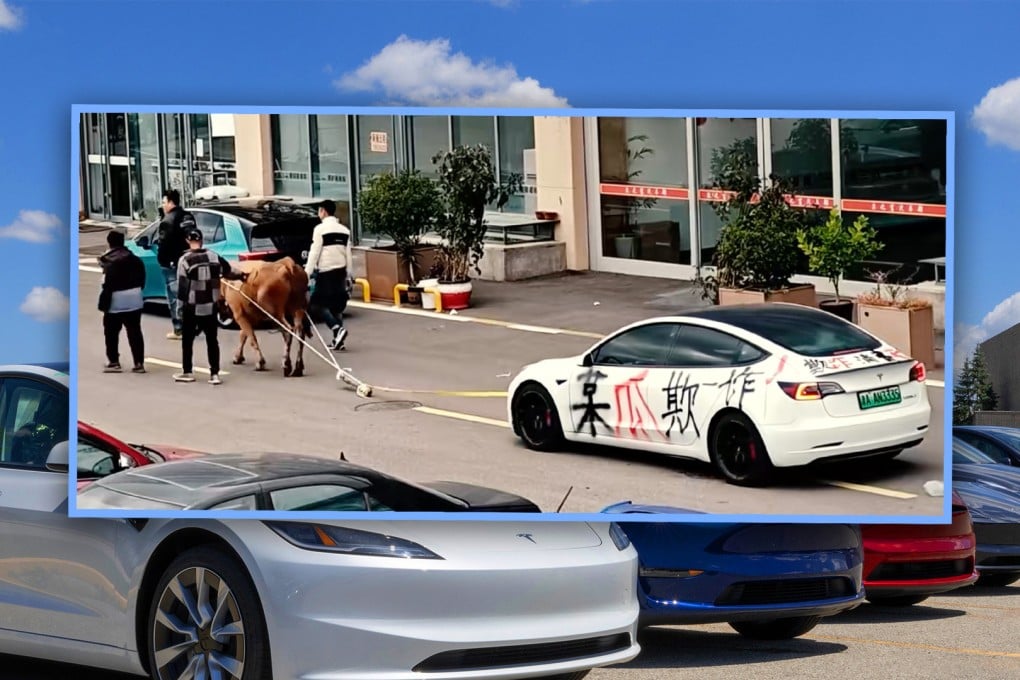 A car buyer in China who bought a used Tesla for US$14,000 then discovered it could not charge has staged an unusual street protest. Photo: SCMP composite/Shutterstock/Douyin
