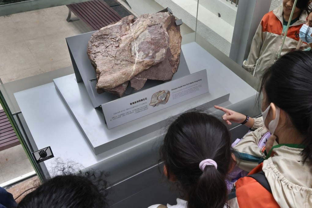 People look at dinosaur fossils discovered on Hong Kong’s Port Island on public display at the Hong Kong Heritage Discovery Centre, in Tsim Sha Tsui, on October 25, 2024. Photo: Dickson Lee