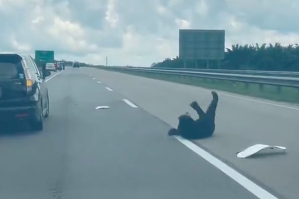 Dashcam video of a bear writhing in agony in the middle of a Malaysian highway after apparently being hit by a car went viral on Monday. Photo: SCMP/ X@update11111