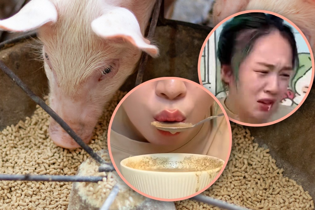 Critics warned that the KOL’s pig-feed-diet stunt may negatively impact her audience, especially if a child tries to imitate her actions. Photo: SCMP composite/Shutterstock/Douyin
