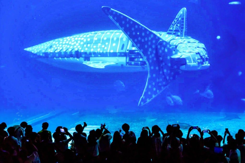 China’s aquariums utilise robotic whales to reduce the costs associated with keeping live animals. Photo: SCMP composite/Shutterstock/Weibo