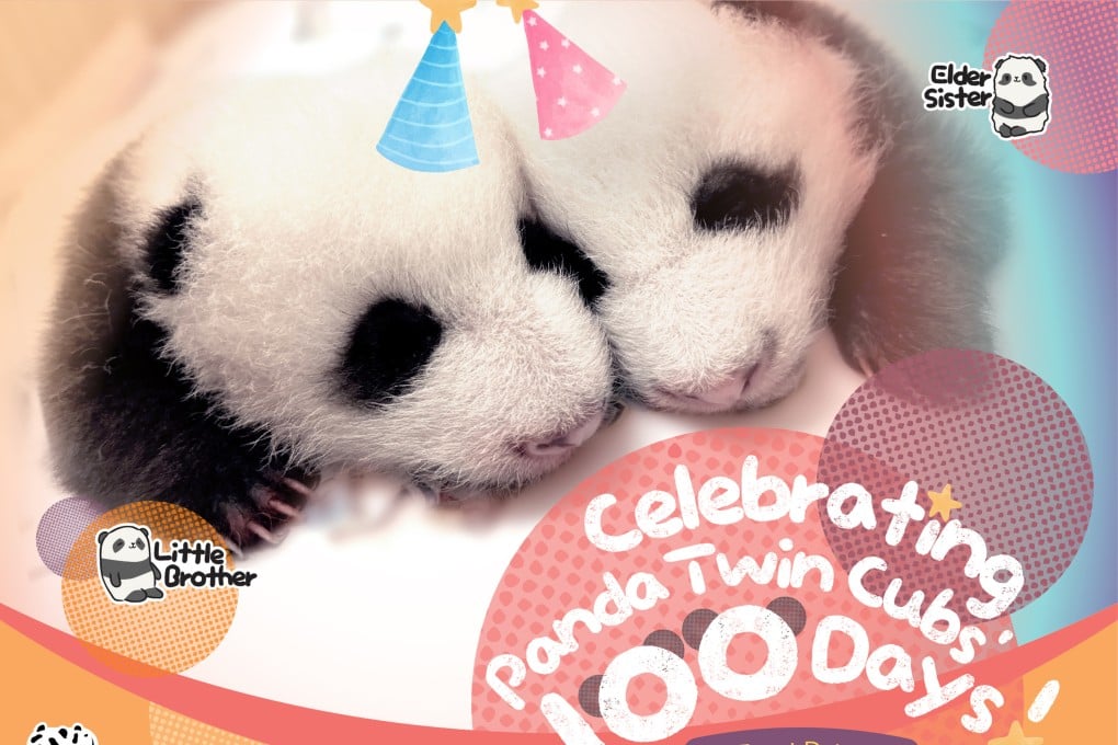 Ocean Park will roll out new merchandise and give out free food on November 23 and 24 to celebrate the 100th day of Hong Kong’s twin cubs. Photo: Ocean Park