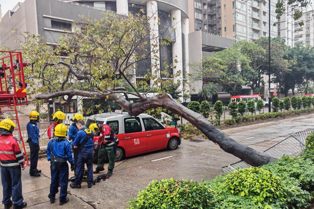 Police said the 20-by-five-metre affected area blocked four of the six lanes, which were reopened at around 11.20am. Photo: Handout