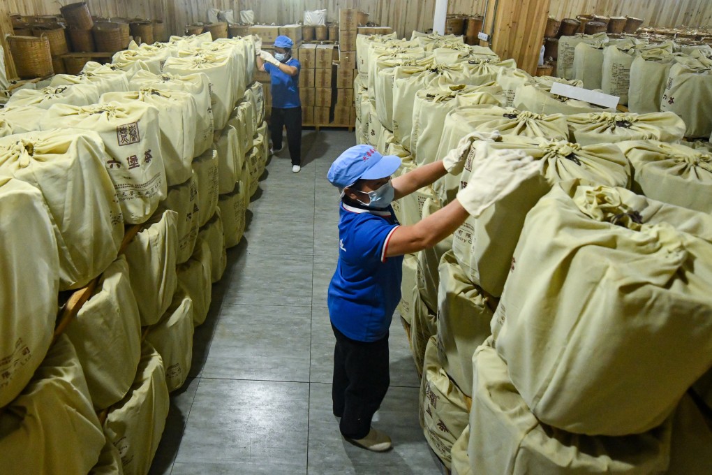 Workers store tea in a warehouse in Wuzhou, in southern China’s Guangxi Zhuang autonomous region on October 25. Photo: Xinhua