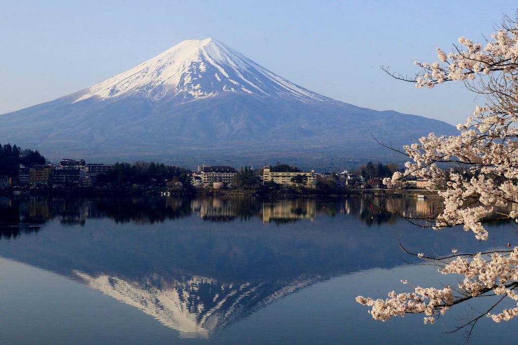 A view of cherry blossom trees with Mount Fuji in the background. Photo: Reuters