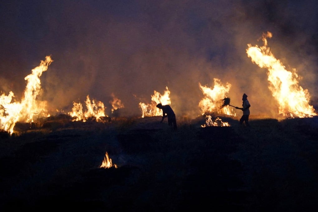 Farmers burn stubble in a rice field in the northern state of Haryana, India, on October 21. Photo: Reuters