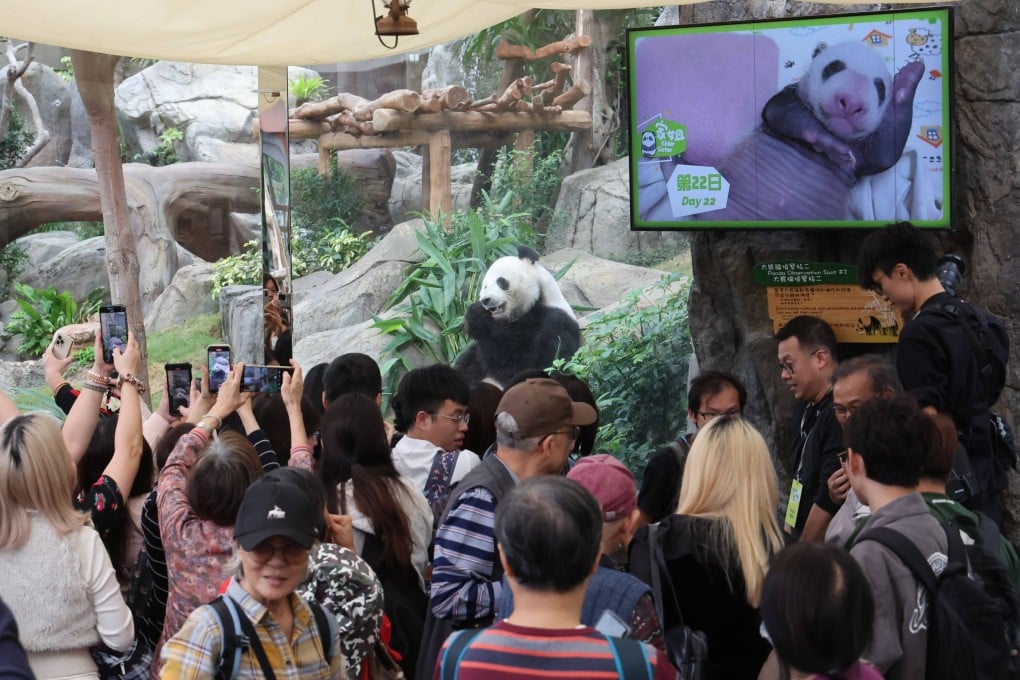 Crowds flock to Ocean Park to celebrate Hong Kong’s giant panda cubs turning 100 days old. Photo: Dickson Lee