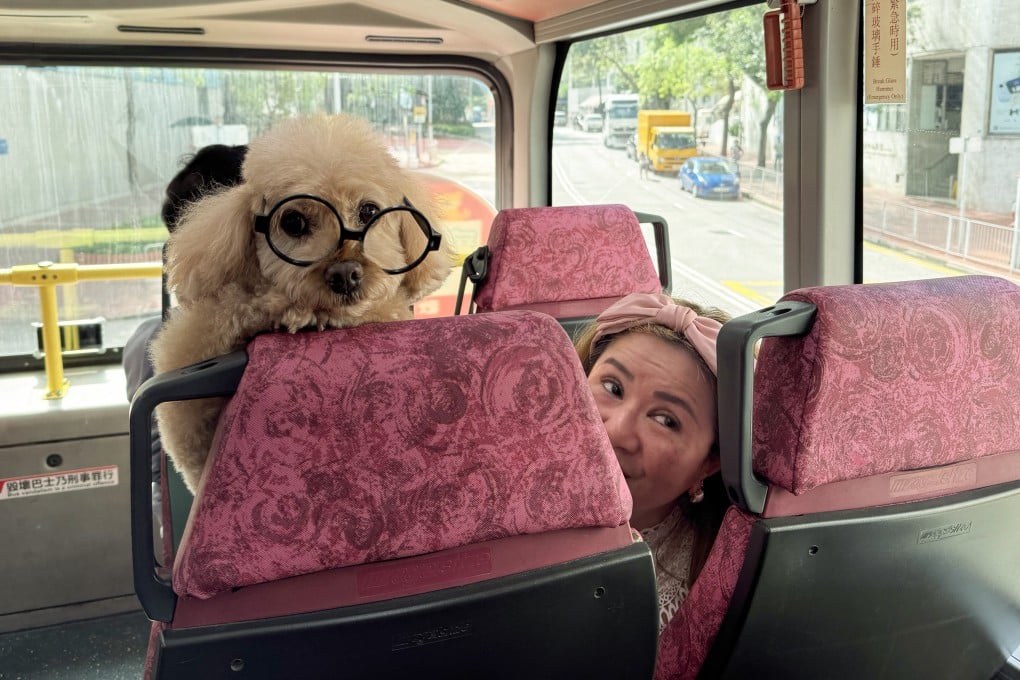 Cecily Wong, with 14-year-old Momo, on a pet-friendly KMB bus. Photo: Lo Hoi-ying