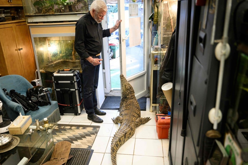Philippe Gillet, 72, opens the door for his crocodile in his house in Coueron, western France. The retired hunting guide in Africa keeps 400 exotic animals. Photo: AFP