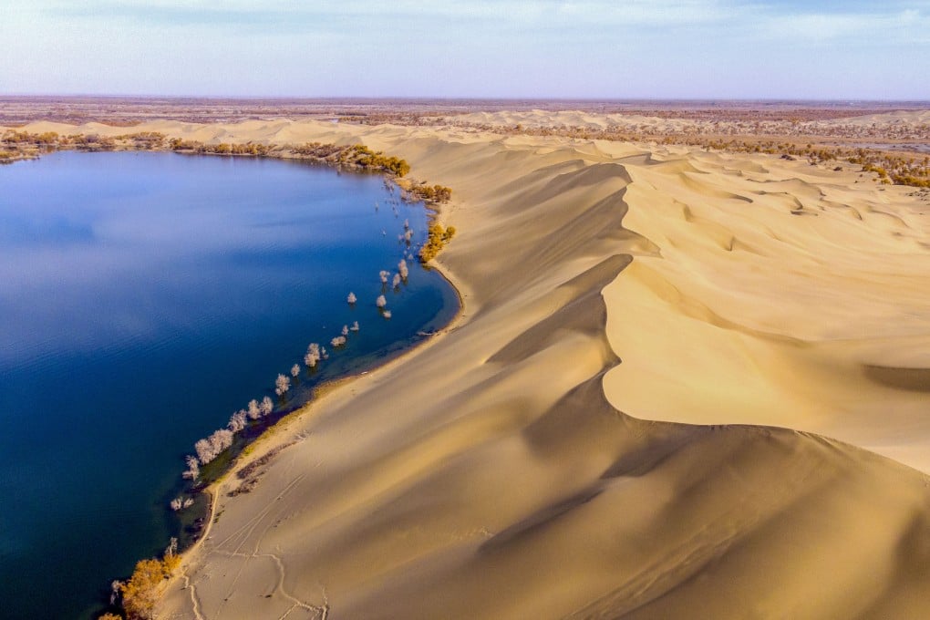 Chinese companies are using the saline lakes dotted across the Talkimakan Desert to harvest pearl oysters and other marine wildlife. Photo: Xinhua