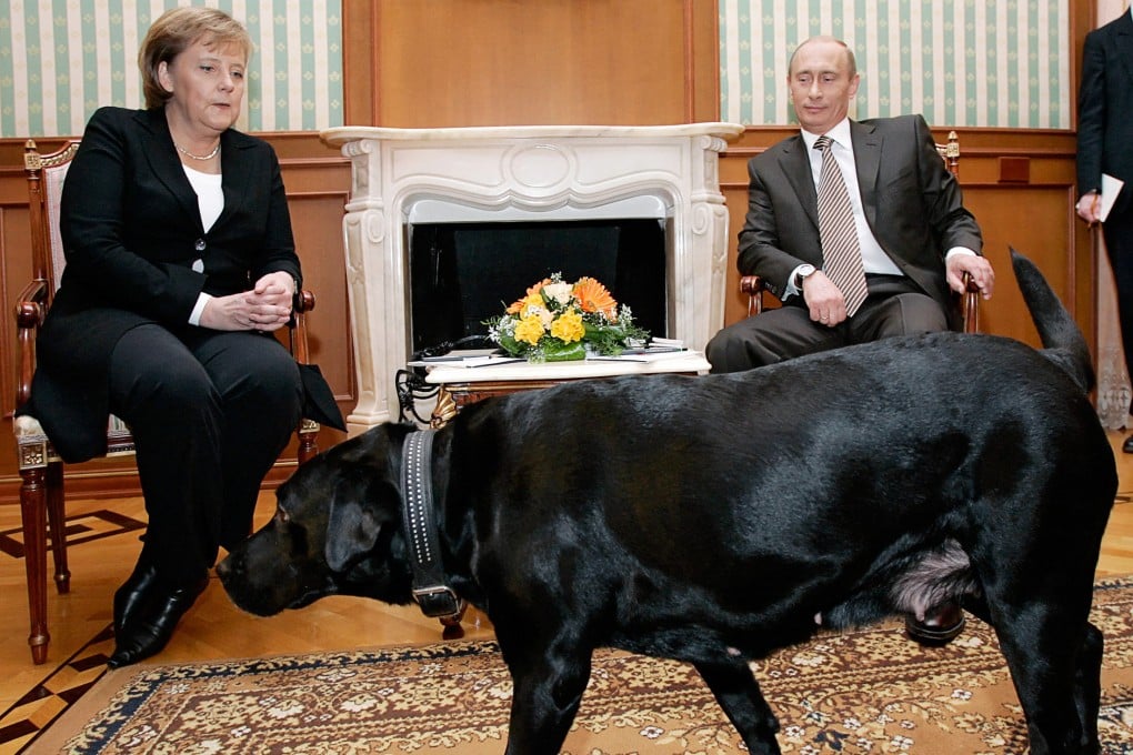 At the 2007 meeting, Vladimir Putin’s black Labrador Koni sniffed around while the German leader sat in her chair, smiling nervously. File photo: AFP