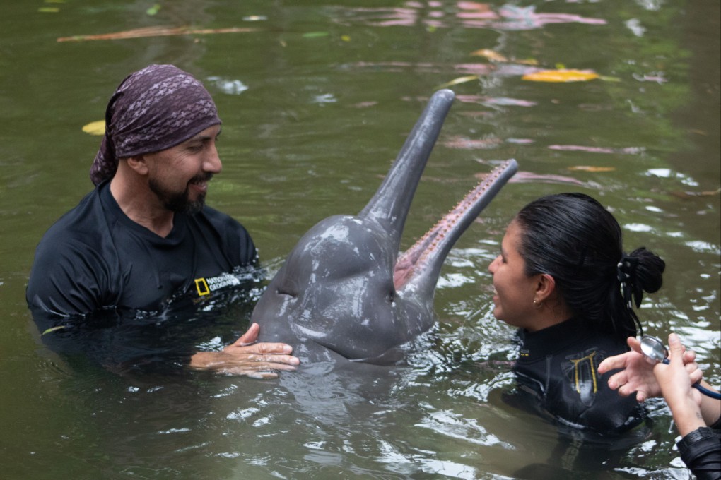 Marine biologist Fernando Trujillo was named the 2024 Rolex National Geographic Explorer of the Year in recognition of his life’s work protecting the dolphins of the Amazon River.
